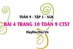 Bài 4 trang 10 Toán 9 tập 1 Chân trời sáng tạo SGK